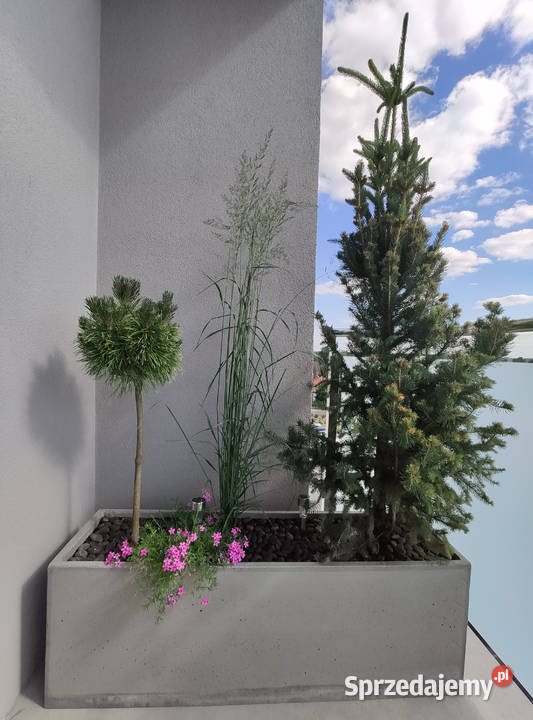 Donica betonowa 120x30x40 Donice betonowe beton Architektura ogrodowa