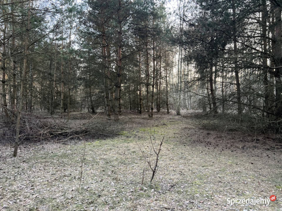 Działka budowlana w miejscowości Wola Pieczyska
