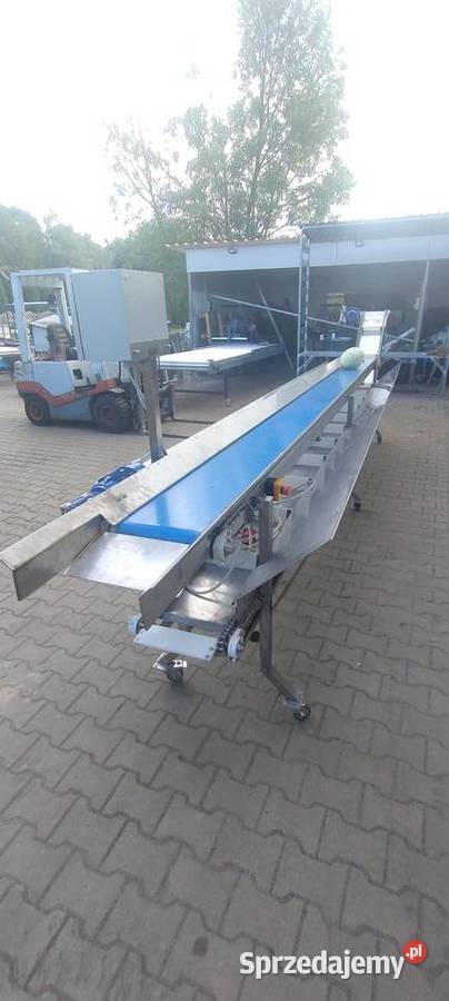 Taśmociąg do kapusty z przenośnikiem do odbioru Rumiejki