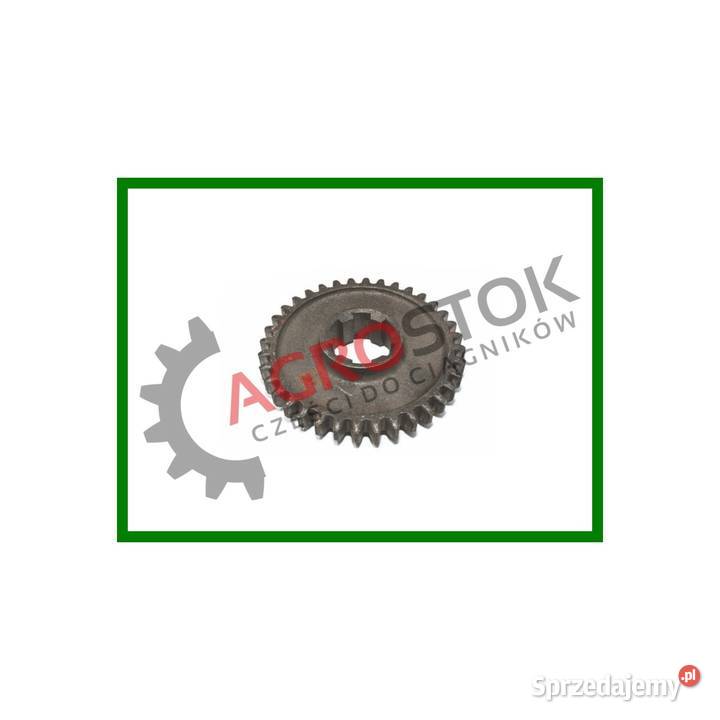 Koło 120 t25 z36 Parczew