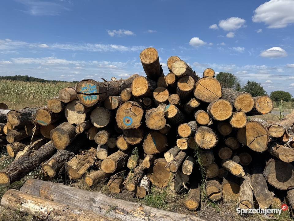 Drewno opałowe Dęb Brzoza