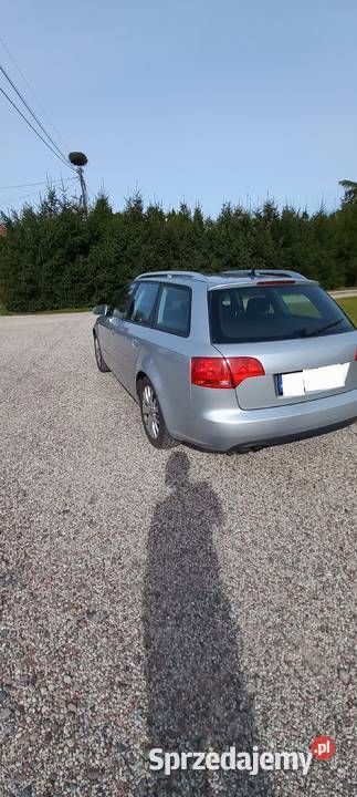 Audi a4b7 19 116