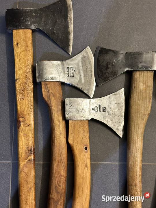 Siekiery cechowane mazowieckie Siedlce sprzedam