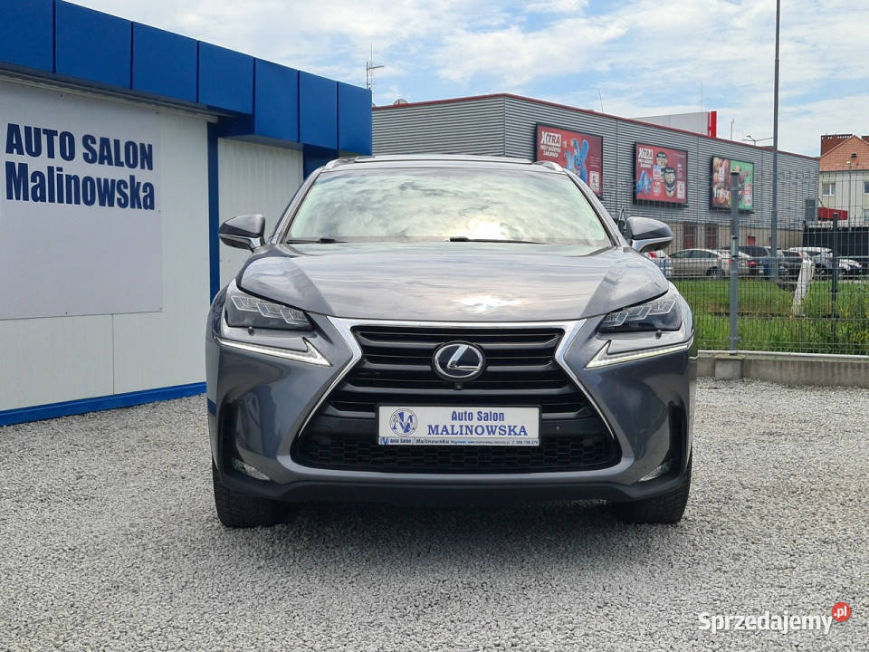 Lexus NX Navi 2xPDC Kamera 360 Wągrowiec sprzedam