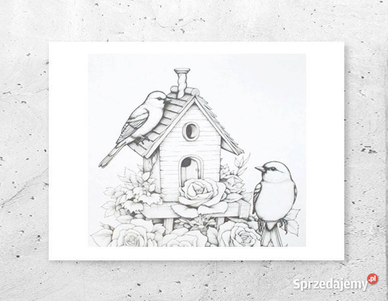 ptaszki obrazek A4 biało czarny plakat A4 Rzeszów