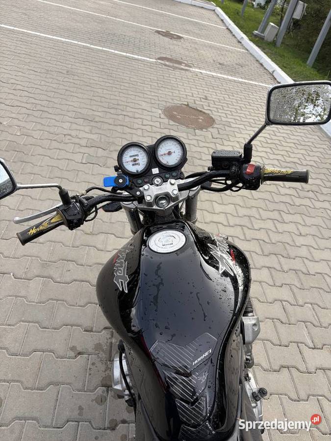 Hornet 600 lat A2 Dąbrowa