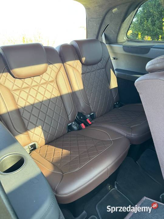 MercedesBenz GL 350 BLUETEC 4MATIC Wilczyna