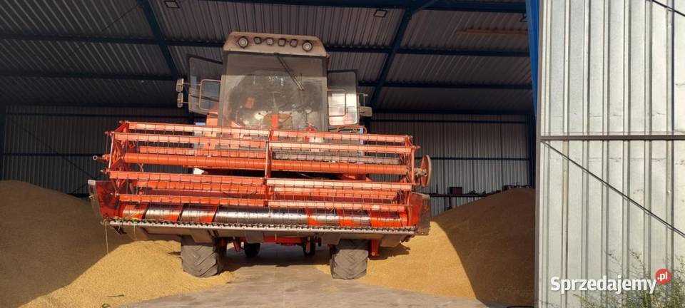 bizon rekord z058 Piotrków Kujawski sprzedam