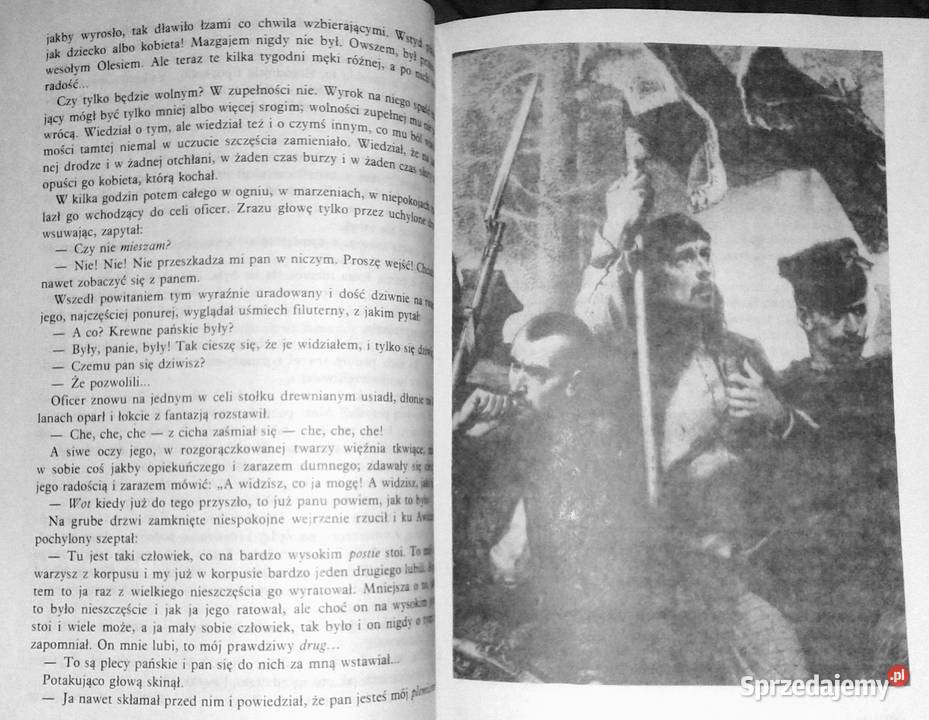 Gloria victis Eliza Orzeszkowa sprzedam