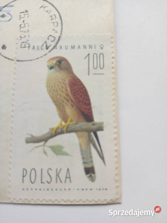 Pocztówka Śnieżka Karkonosze 1975r Znaczek śląskie Dąbrowa Górnicza