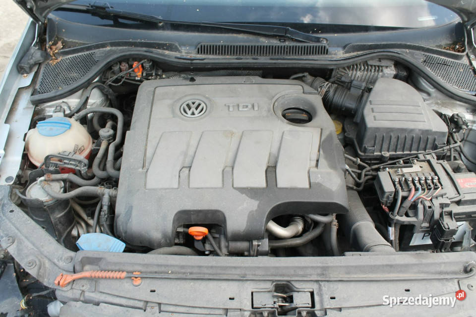Volkswagen Polo V 20092017 Ostrów Wielkopolski sprzedam