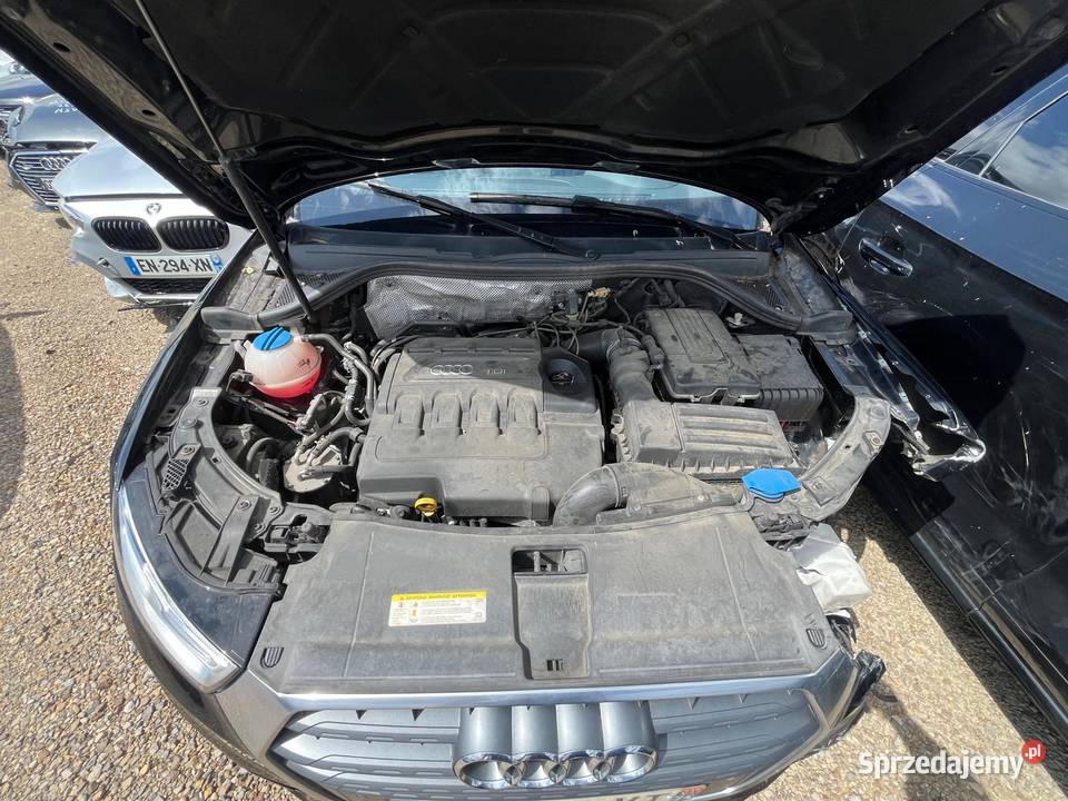 AUDI Q3 II 20 TDi 120 STronic SLine EM251 Kielce