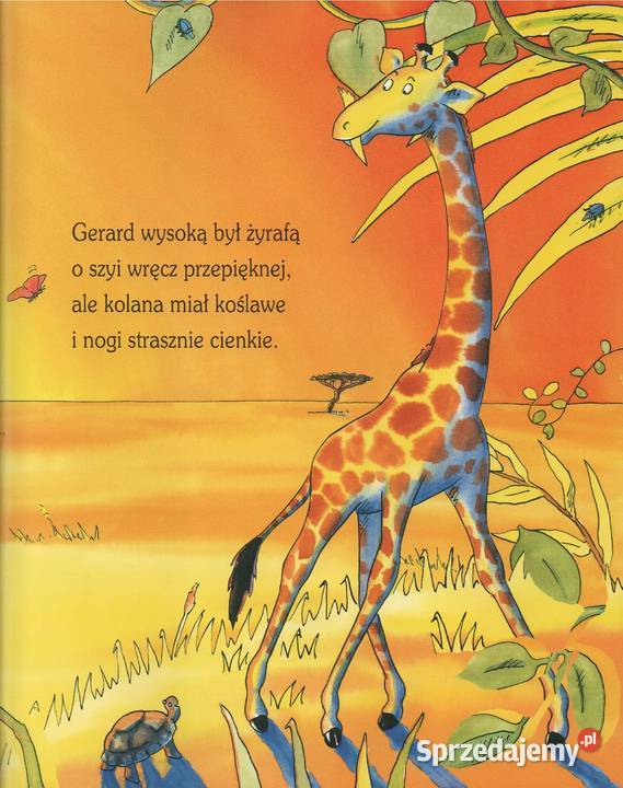 ŻYRAFY NIE UMIEJĄ TAŃCZYĆ twarda Książki dla dzieci Gorzów Wielkopolski