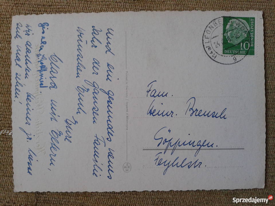 ŚWIERKI ZIMĄ OPSYPANE ŚNIEGIEM