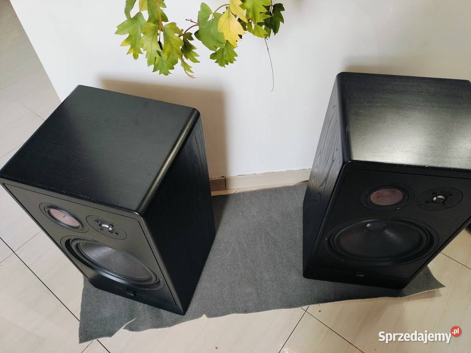 Canton CT1000 zachodniopomorskie Rurzyca