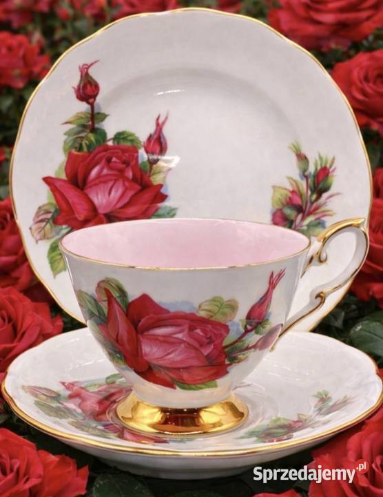 Angielska porcelana kostna ROSLYN łódzkie