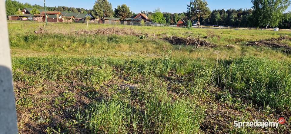 Sprzedam działkę 35 ar Sprzedaż Grodzisko Dolne