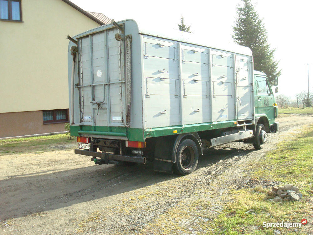 MAN 8100 DO PRZEWOZU ZWIERZĄT VIEHTRANSPORTER Kolbuszowa