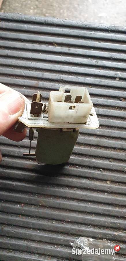 Opornica corsa b Puławy