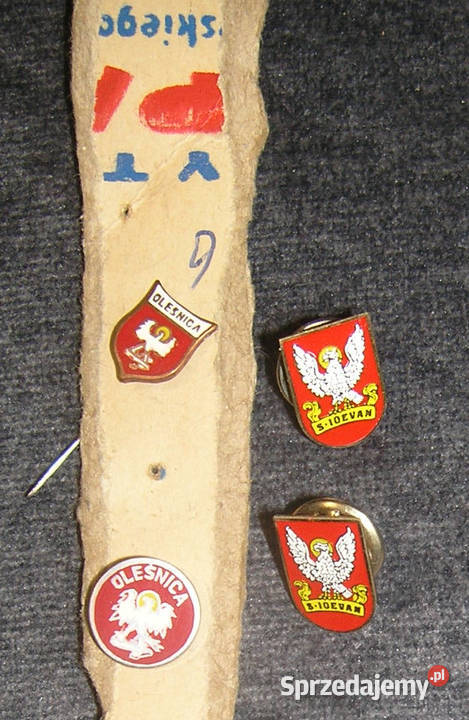 przypinka pinsa vintage herb miasta OleśnicaDd Pozostałe