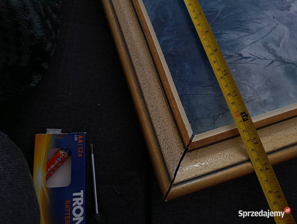 obraz wierzby moczarami Witold Pruszkowski Wyposażenie wnętrz Poznań sprzedam