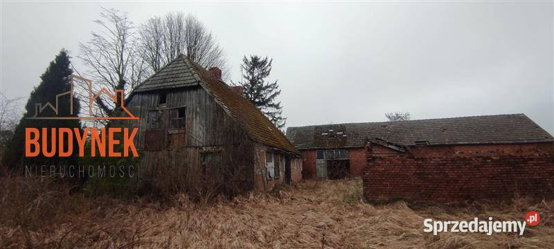 Dom Kowalewiczki Rok budowy 1850 Sprzedaż