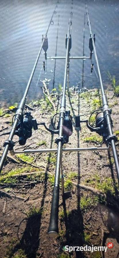 Wędki Greys Prodigy 12ft 25lbs Idealny Dtan lubuskie Zielona Góra