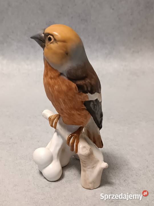 GOEBEL Ptak Grubodziób Hawfinch Kolekcjonerska Gdańsk