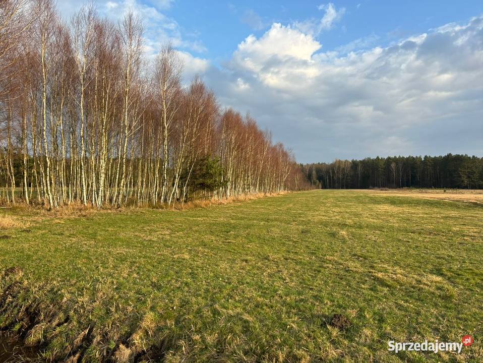 Działki 240 ha w Nagoszewie gm Ostrów Mazowiecka Nagoszewo