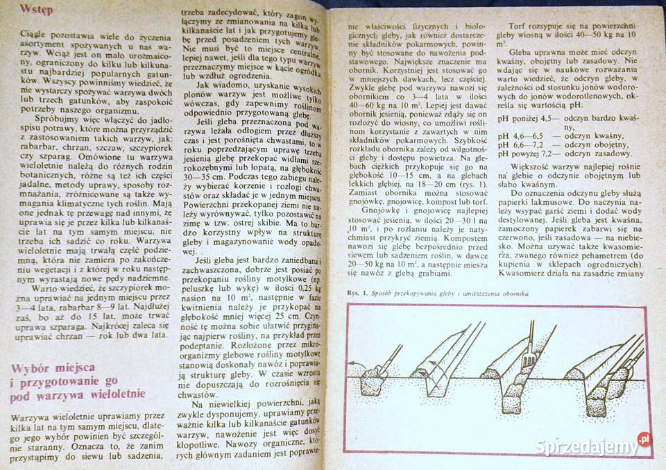 Nie trzeba ich sadzić co roku E TraczewskaZych