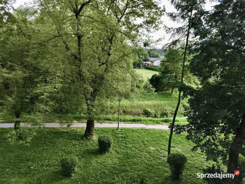 Mieszkanie z widokiem Burtnicza sieć Mieszkania Tarnów