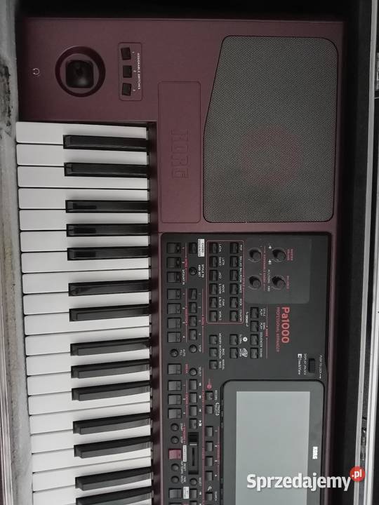 Korg pa 1000 Instrumenty klawiszowe i MIDI Szydłów