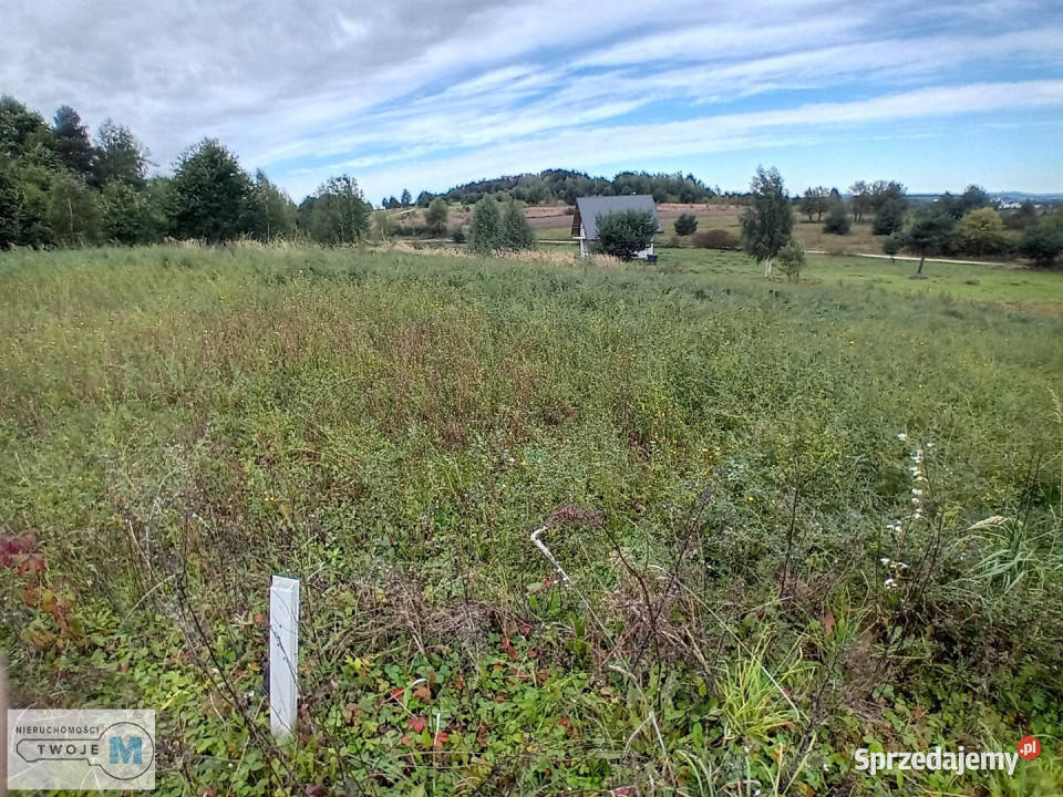 sprzedaży działki Morawica 800m2