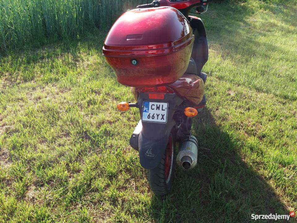 lingben LB50QT21 nowy kufry kujawsko-pomorskie