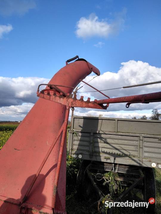 Ścinacz Zielonek Tarrup Koło