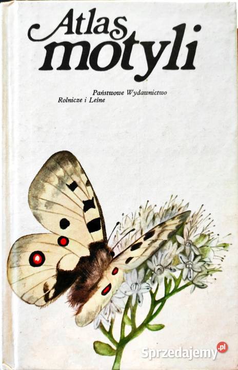 Atlas motyli Moucha Książki naukowe i popularnonaukowe Osięciny