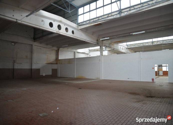 Hala magazynowo produkcyjna Prusice 8 PLNm2 parking Lokale użytkowe Prusice