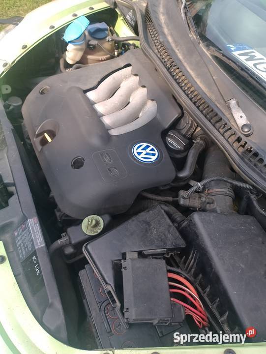 VW Beetle Grodzisk Mazowiecki