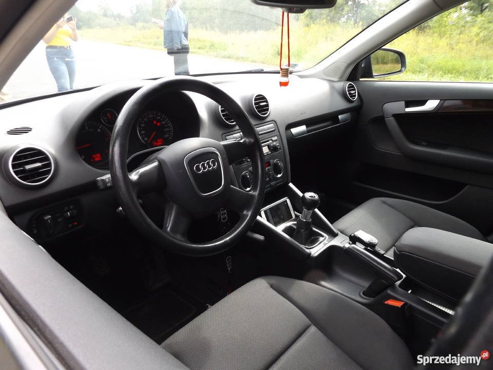 Audi A3 8P Sportback 2005 Oryginalny Lakier Sławków