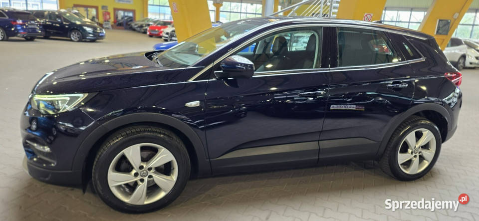 Opel Grandland X 20182019 OPIS W podanej roczna komputer pokładowy Grandland X Mysłowice