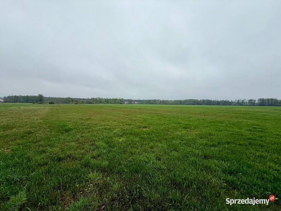 Młyny Piekarskie gmDobradziałka rolna na