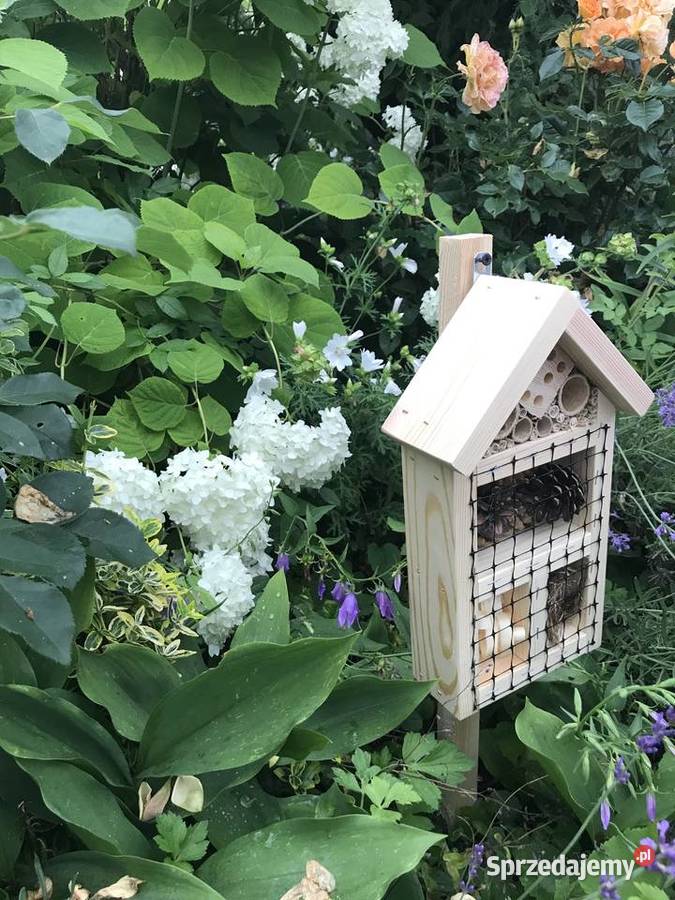 domek owadów M1 Sławno