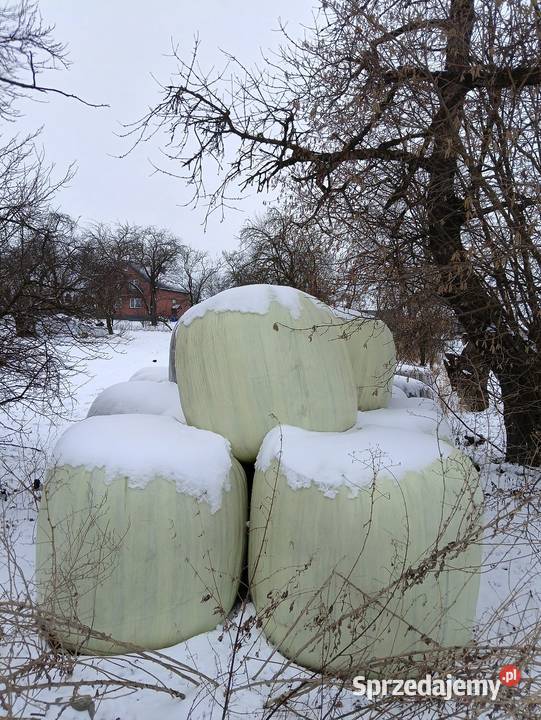 Sianokiszonka 1 i 3 pokos