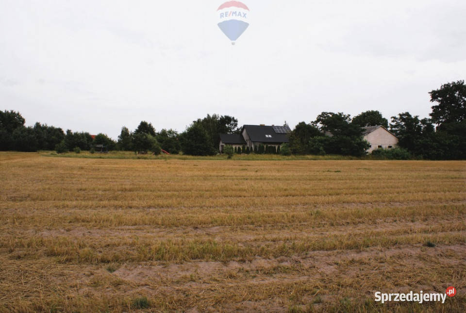 Działka budowlana 3000 m Ruda Radzymin asfalt mazowieckie