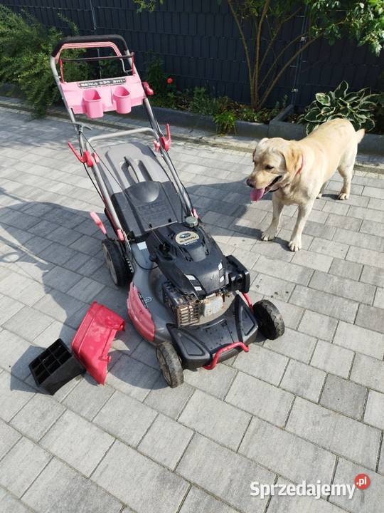 Kosiarka spalinowa Subaru