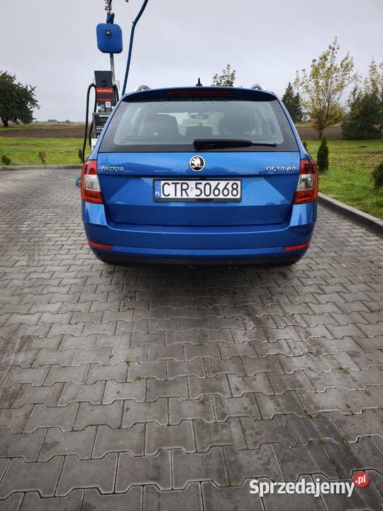Skoda octavia 3 2019 Style Winter serwis ASO Toruń