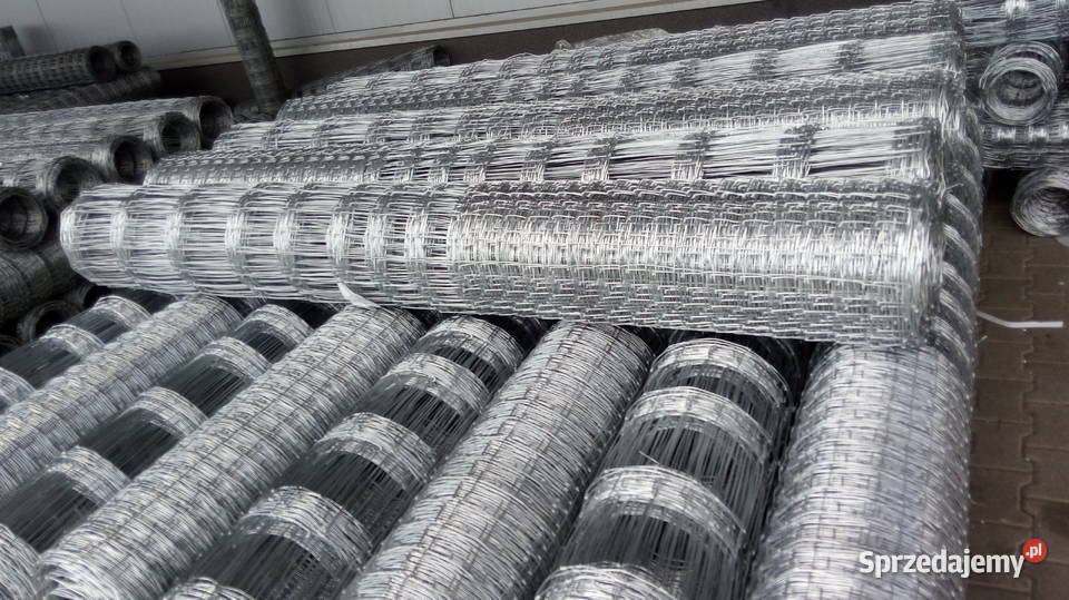 SIATKA LEŚNA OGRODZENIOWA 1501915 L Leżajsk