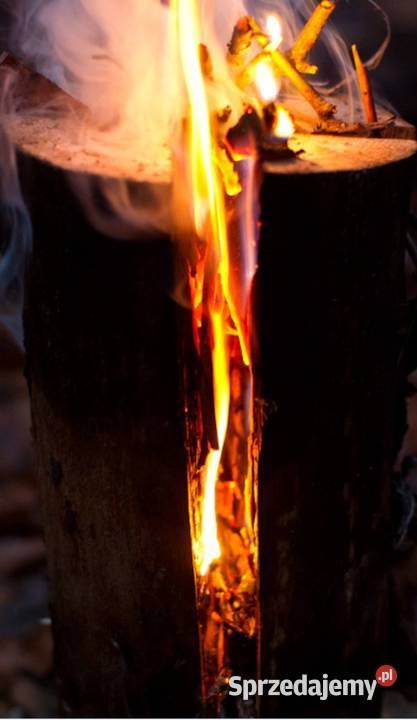 Pochodnia Pieniek Sosnowy Szwedzki Ogień Duży Pochodnie opolskie Ligota Prószkowska