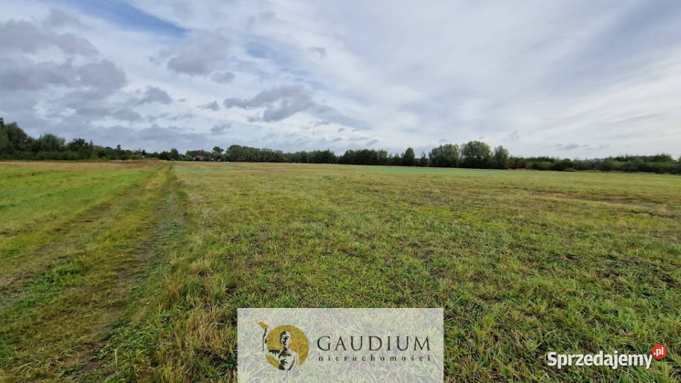 działki w Drewnicy Drewnica