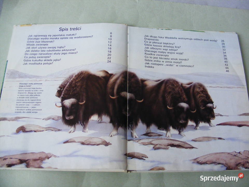 Osobliwe zwierzęta Carwardine Niezwykłe budowle twarda Książki naukowe i popularnonaukowe Oborniki Śląskie